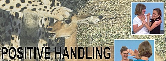 AIKIDO UK - POSITIVE HANDLING